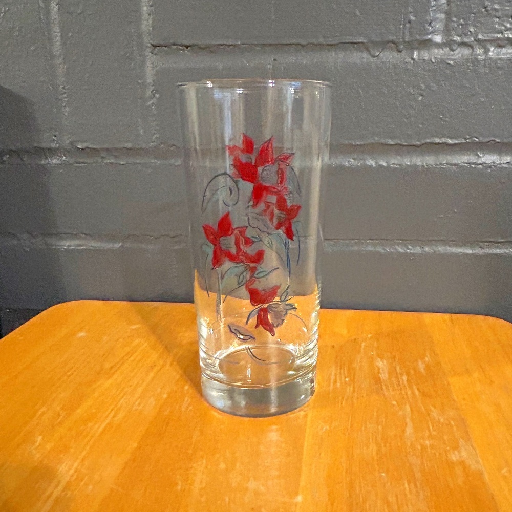 Vintage Hand Painted Highball Glasses